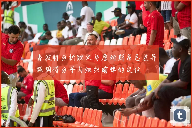 香波特分析欧文与詹姆斯角色差异强调得分手与组织前锋的定位
